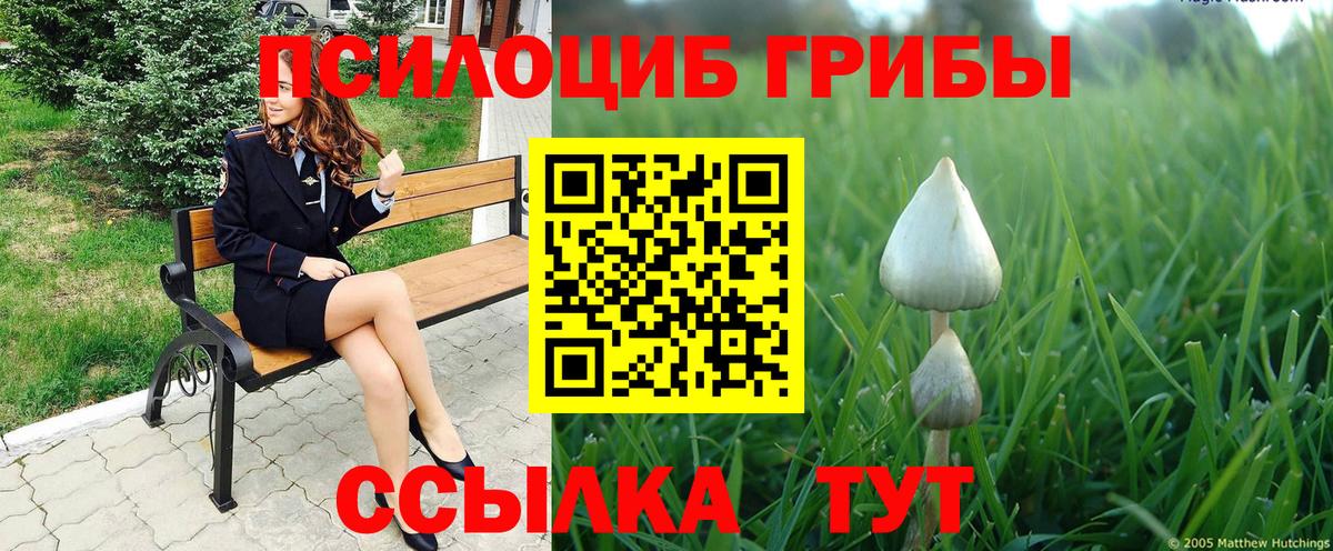 Псилоцибиновые грибы Psilocybe Ростов-на-Дону