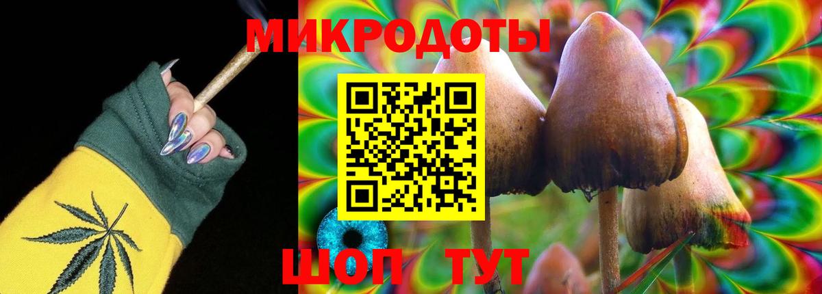 Псилоцибиновые грибы Psilocybe  Вход с VPN  Псилоцибиновые грибы GOLDEN TEACHER  Ростов-на-Дону 