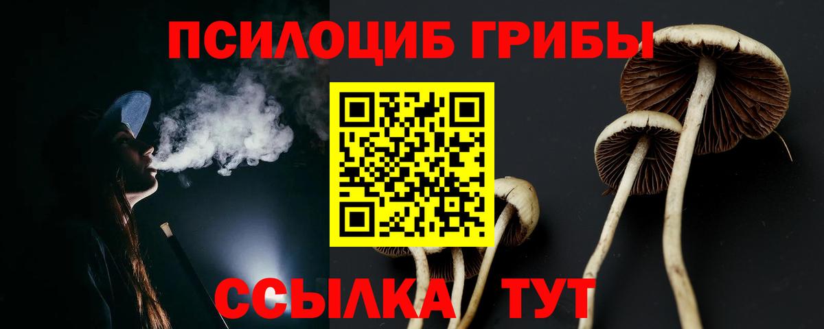 Псилоцибиновые грибы прущие грибы Ростов-на-Дону